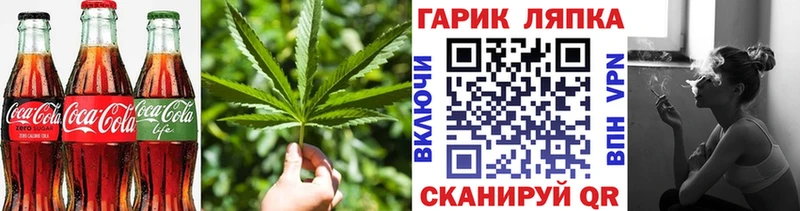 МЕГА ТОР  Костерёво  Cannafood конопля 