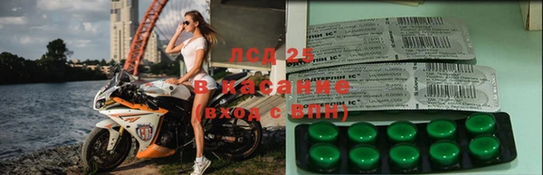 СК Алзамай